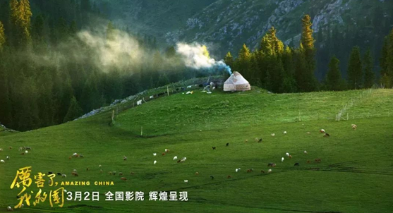 AG真人·国际(中国游)平台官方网站